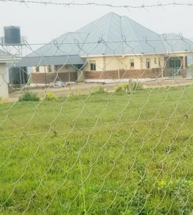 WhatsApp Image 2025-07-11 at 16.16.36.jpg